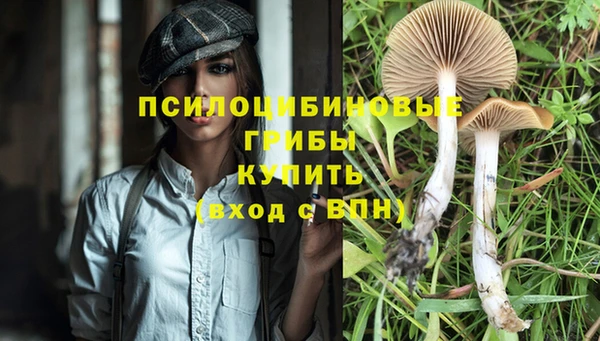 соль ск Белоозёрский
