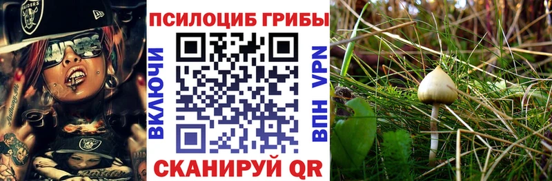 цена Каневская Галлюциногенные грибы мухоморы